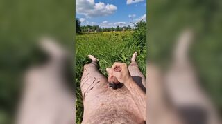 Leaving Clothes Behind To Cum In A Field - 14 image