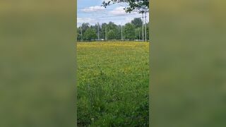 Leaving Clothes Behind To Cum In A Field - 5 image
