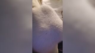 Come over and lick my feet, you little doggy