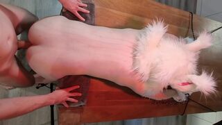 Fursuit Twink Fastened and Drilled - 10 image
