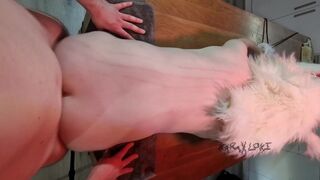 Fursuit Twink Fastened and Drilled - 12 image