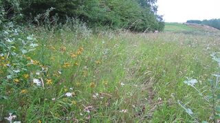 speedo outdoor lose elastic walk and other bits