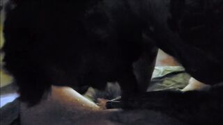 sucking my buddy while his wife is gone