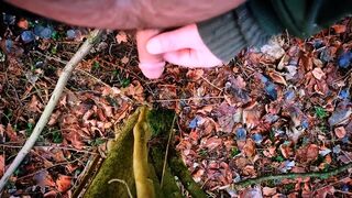 Horny pissing at the forest walk