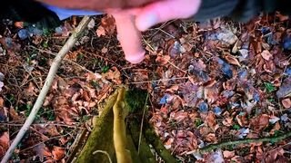 Horny pissing at the forest walk - 15 image