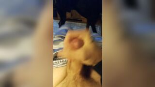 Jerking my cock thinking of my wife