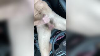 Car masturbation in the dog park. Lay back, drop pants and cum on my seat and myself. - 13 image