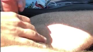 Two Buds Jerking in the Car - 8 image