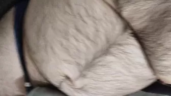 Juicy Bear 2