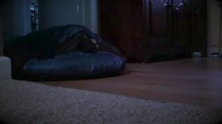 Attack Of The Vore Camping Bag - Slurping Supper