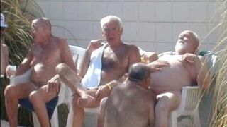 old Centaur pictorial - 2 image