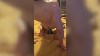 Large Bad Dragon Nox! Skull Splitting Crying Anal