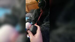 Murrsuit wolf on the bed get teased and cum with 2 magic wands - 15 image