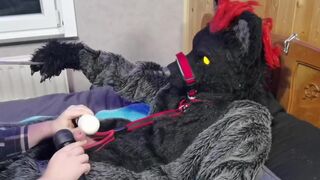 Murrsuit wolf on the bed get teased and cum with 2 magic wands - 3 image