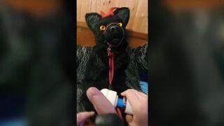 Murrsuit wolf on the bed get teased and cum with 2 magic wands - 5 image