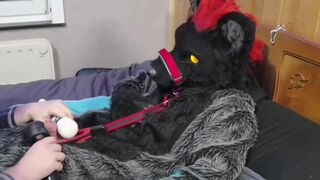 Murrsuit wolf on the bed get teased and cum with 2 magic wands