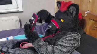 Murrsuit wolf on the bed get teased and cum with 2 magic wands
