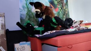 German shepherd breeds a bunny - Fursuit yiff breeding