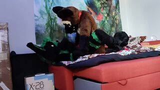 German shepherd breeds a bunny - Fursuit yiff breeding