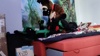 German shepherd breeds a bunny - Fursuit yiff breeding