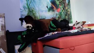 German shepherd breeds a bunny - Fursuit yiff breeding