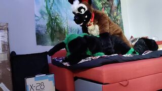 German shepherd breeds a bunny - Fursuit yiff breeding