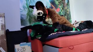 German shepherd breeds a bunny - Fursuit yiff breeding