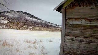 Screw Em All, I Cruised the Woods and Wanked My Stiffy Hard - 2 image