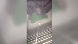 wash my tiny dick (no cum)