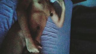 Napajakol in the sob of my tank - 5 image