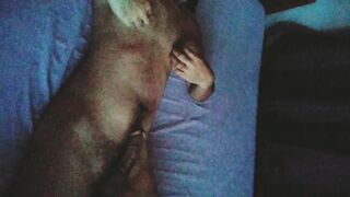 Napajakol in the sob of my tank - 8 image