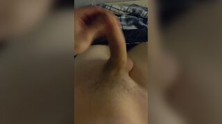 Young cock in front of the school empty