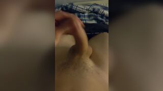 Young cock in front of the school empty