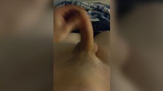 Young cock in front of the school empty