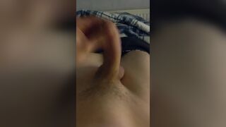 Young cock in front of the school empty - 7 image