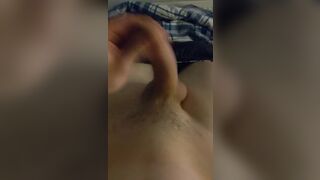 Young cock in front of the school empty