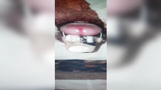 Electric Toy Star Schweif42, sometimes differently in use ... - 13 image