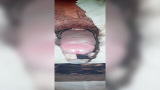 Electric Toy Star Schweif42, sometimes differently in use ...