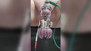 Locktober cum from cbt estim in chastity and ball cage
