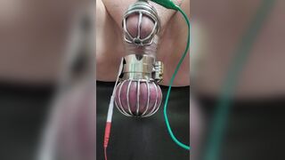 Locktober cum from cbt estim in chastity and ball cage - 5 image