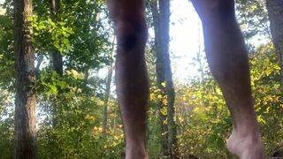 Dicky Loves the Woods - 14 image