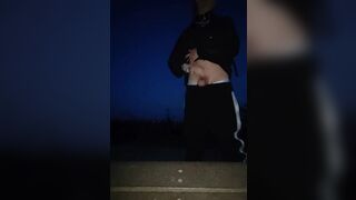 College Boy Wanks at the Public Park and Cums - 2 image