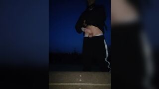 College Boy Wanks at the Public Park and Cums - 3 image