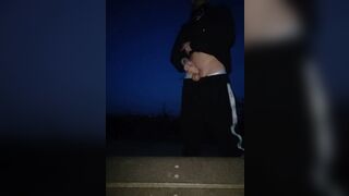 College Boy Wanks at the Public Park and Cums - 5 image