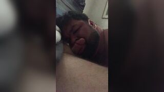 Brewster Bear doing what he does best - 7 image