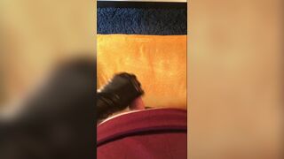 wetlook glove stroking in pink satin and black skirt