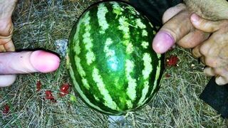 Fucking a WATERMELON with a dildo in the forest - 1 image
