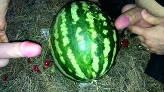 Fucking a WATERMELON with a dildo in the forest - 10 image