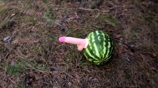 Fucking a WATERMELON with a dildo in the forest - 2 image