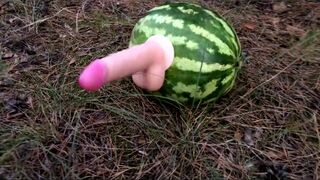Fucking a WATERMELON with a dildo in the forest - 3 image